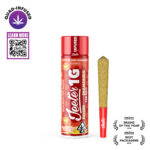 APPLES AND BANANAS 1G INFUSED PREROLL
